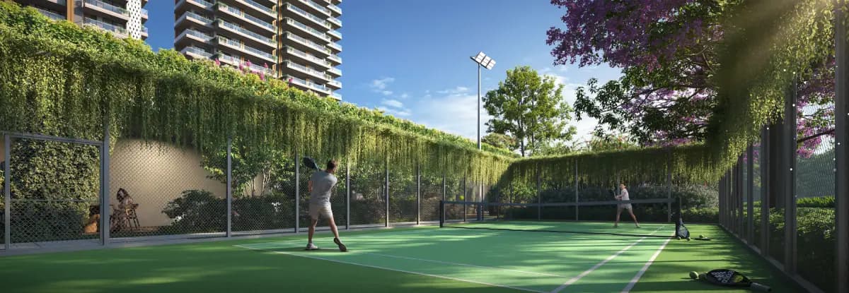 Pickleball Court View