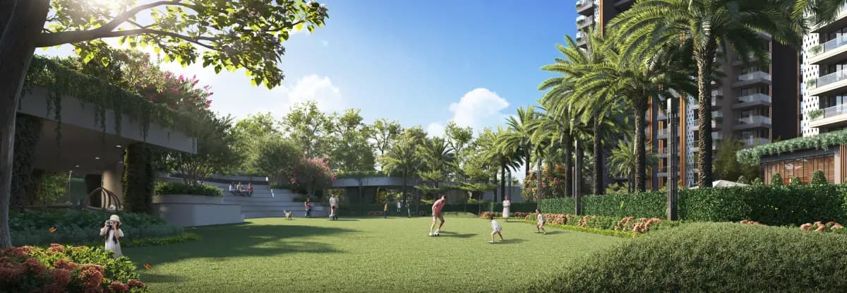 Openlawn Area View